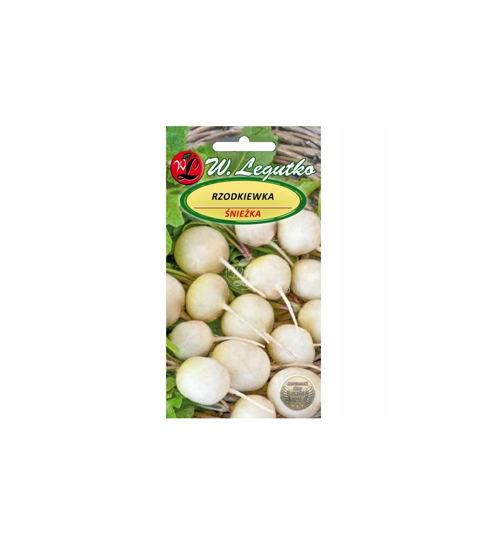 Rzodkiewka biała Śnieżka nasiona 5 g