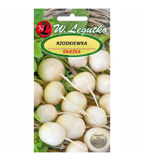 Rzodkiewka biała Śnieżka nasiona 5 g