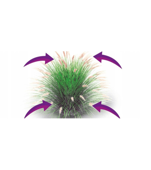 TRAWY OZDOBNE SZYBKODZIAŁAJĄCY 150G