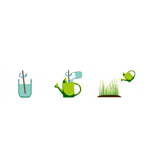 TRAWY OZDOBNE SZYBKODZIAŁAJĄCY 150G