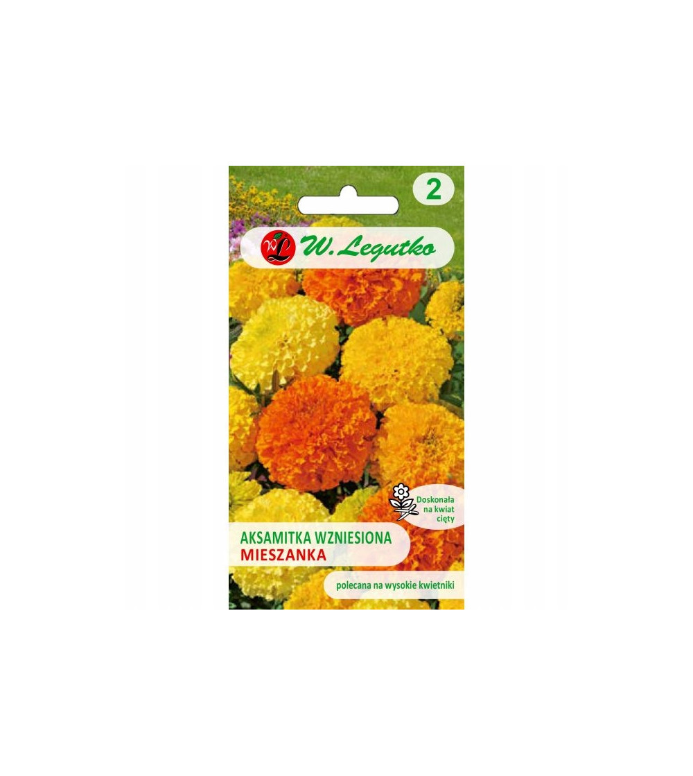 AKSAMITKA WZNIESIONA MIESZKANKA 1 G LEGUTKO