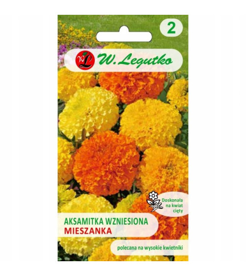 AKSAMITKA WZNIESIONA MIESZKANKA 1 G LEGUTKO